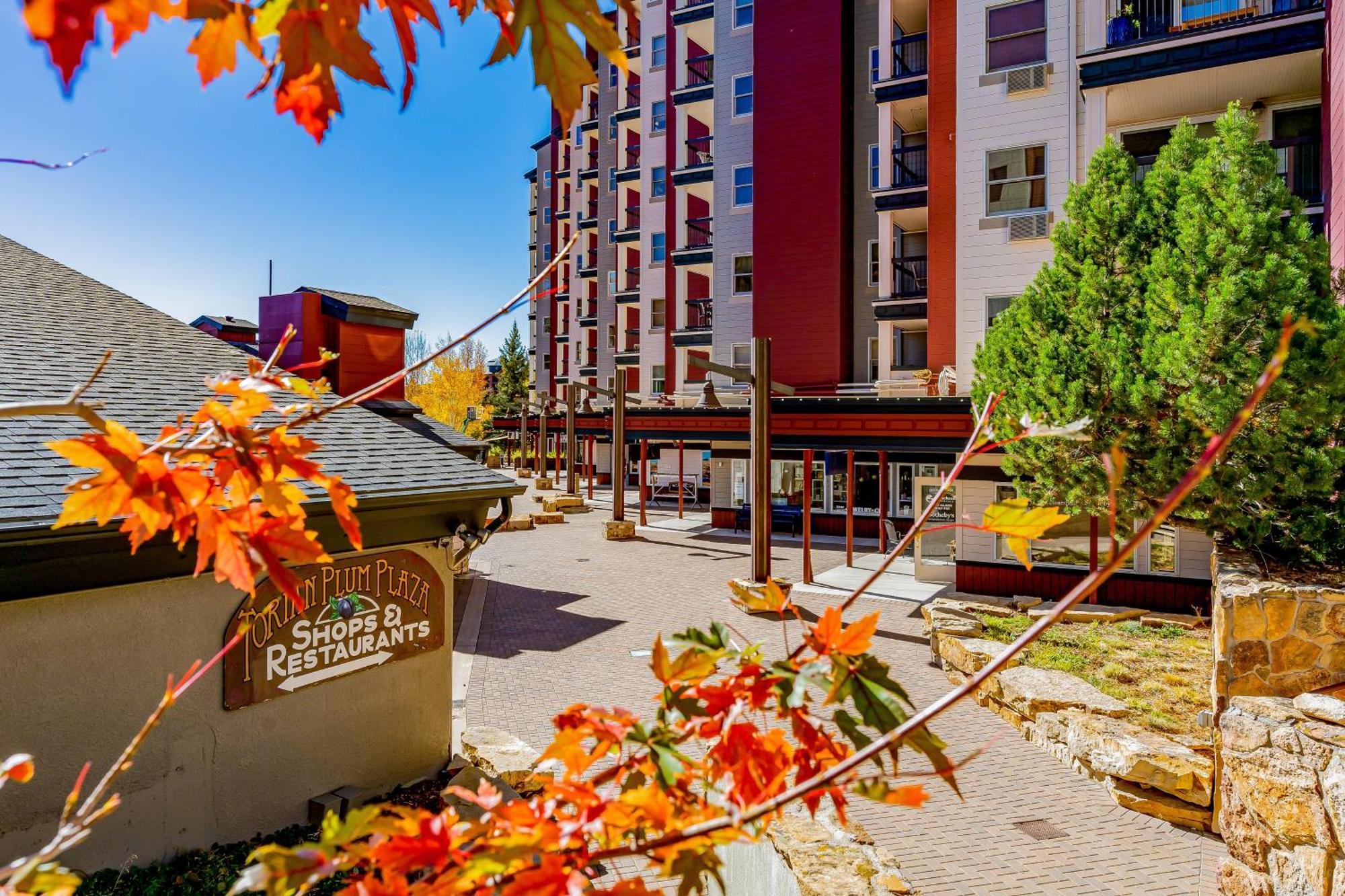Apartament Torian Plum Plaza 204 Steamboat Springs Zewnętrze zdjęcie